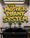 DJ Privileged Mother Plant System – The Mother Plant System graffiti wall with two hydroponic plants and a trophy