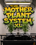 DJ Privileged Mother Plant System XL – Flood & Drain Hydroponic Kit
